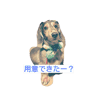 茶色日と白ギャング②（個別スタンプ：31）