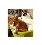 しょとら（個別スタンプ：8）