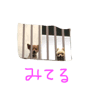 にゃー時々るなくまの第2弾（個別スタンプ：4）