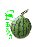 にゃー時々るなくまの第2弾（個別スタンプ：5）
