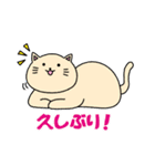 簡単スペイン語 スタンプ（個別スタンプ：26）