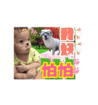 Youyou's daily life (second bomb)（個別スタンプ：25）