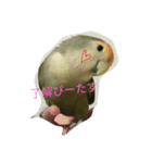ぴーたすpart3（個別スタンプ：3）