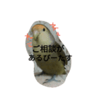 ぴーたすpart3（個別スタンプ：10）