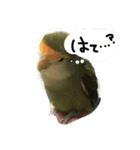 ぴーたすpart3（個別スタンプ：12）