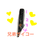 野良猫ファミリーの日常2（個別スタンプ：1）