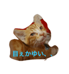 野良猫ファミリーの日常2（個別スタンプ：3）
