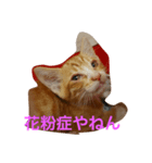 野良猫ファミリーの日常2（個別スタンプ：4）