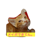 野良猫ファミリーの日常2（個別スタンプ：7）