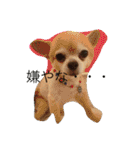 いぬ物語（個別スタンプ：12）