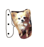 いぬ物語（個別スタンプ：34）