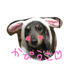 いぬ物語（個別スタンプ：35）