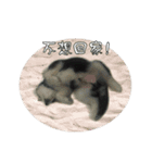 200（個別スタンプ：4）