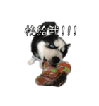 200（個別スタンプ：6）