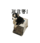 200（個別スタンプ：8）