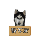 200（個別スタンプ：11）