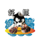 200（個別スタンプ：15）