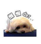 BanBan1（個別スタンプ：10）