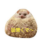ハリネズミ  ポポ＆ララ＆モン（個別スタンプ：13）