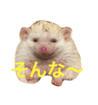 ハリネズミ  ポポ＆ララ＆モン（個別スタンプ：29）