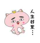 VIP cat's everyday！（個別スタンプ：5）