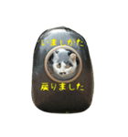 猫と大和言葉（個別スタンプ：2）