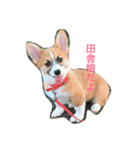 こまちおねえさん（個別スタンプ：2）