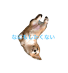 こまちおねえさん（個別スタンプ：3）