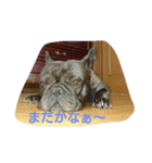 つねゆき（個別スタンプ：6）