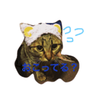猫のすだちくん（個別スタンプ：1）