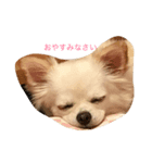 こころとらら（個別スタンプ：2）