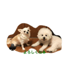 こころとらら（個別スタンプ：4）