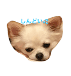 こころとらら（個別スタンプ：8）
