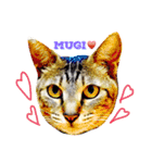 愛猫のむぎちゃんです( ˙▽˙ )/（個別スタンプ：1）