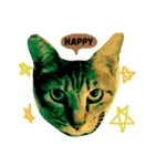 愛猫のむぎちゃんです( ˙▽˙ )/（個別スタンプ：11）