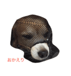 るんちゃん日常言葉2（個別スタンプ：19）