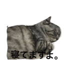 ナナリアル（個別スタンプ：2）
