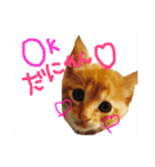 めろたんです。（個別スタンプ：1）