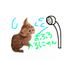 めろたんです。（個別スタンプ：4）