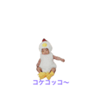 ももたん日記熊本（個別スタンプ：1）