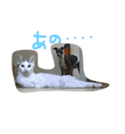 まつだ犬猫（個別スタンプ：3）
