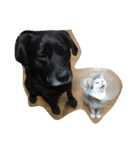 まつだ犬猫（個別スタンプ：4）