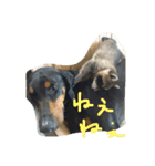 まつだ犬猫（個別スタンプ：7）