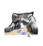 まつだ犬猫（個別スタンプ：10）