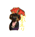 まつだ犬猫（個別スタンプ：26）