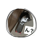 トラスタンプ（個別スタンプ：4）