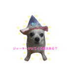プリン君のしあわせスタンプ（個別スタンプ：5）