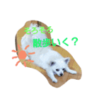 プリン君のしあわせスタンプ（個別スタンプ：8）
