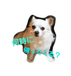 プリン君のしあわせスタンプ（個別スタンプ：10）