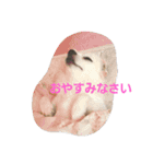プリン君のしあわせスタンプ（個別スタンプ：14）
